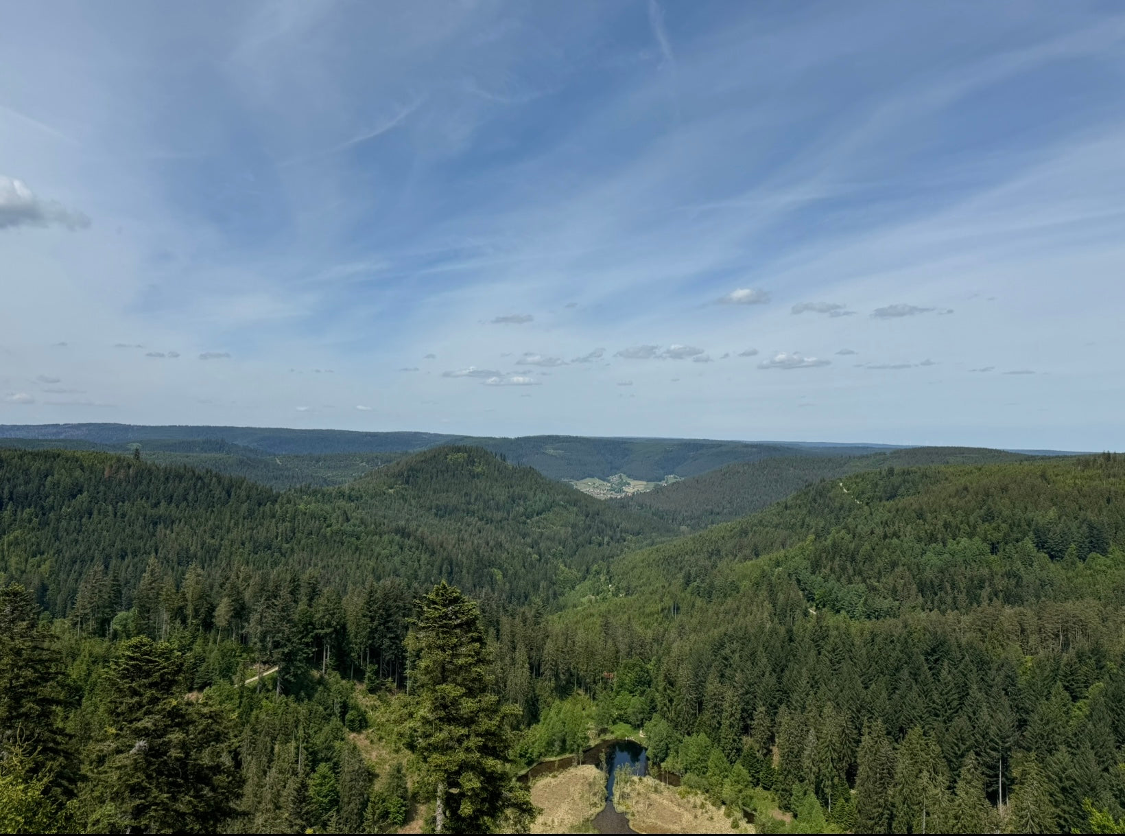 Vegane Nahungsergänzung
